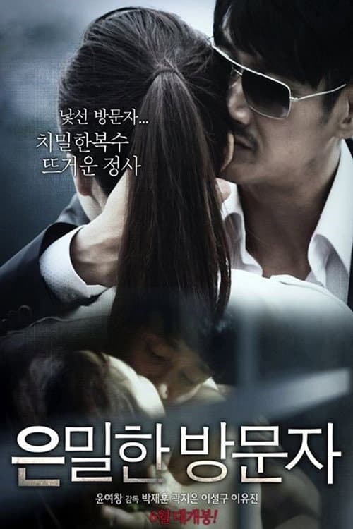 Secret Visitor (2015) poster