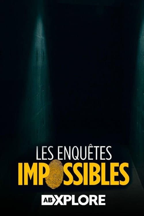 Les enquêtes impossibles 2011 reformatées (2014) poster