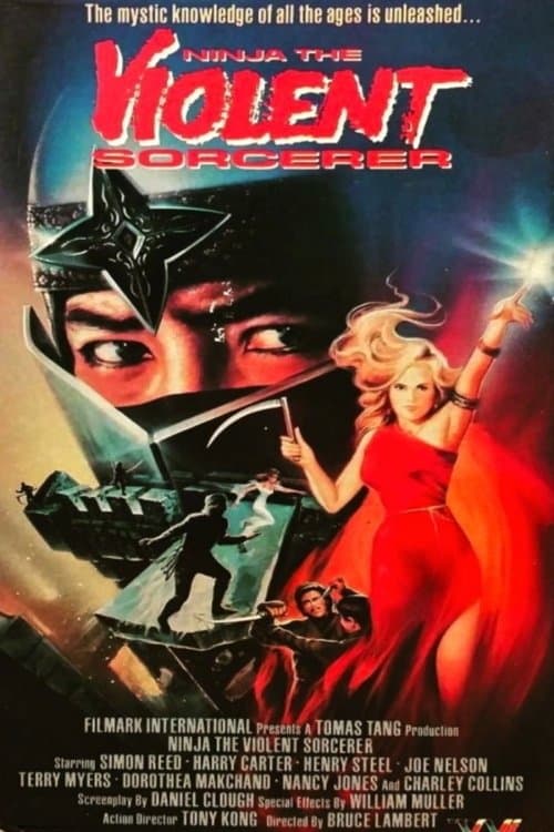 Ninja, the Violent Sorceror (1987) poster