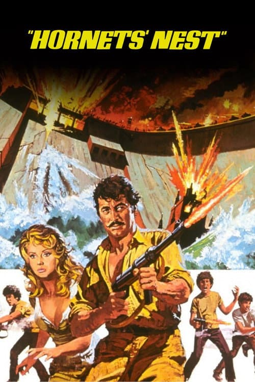 Hornets' Nest (1970) poster
