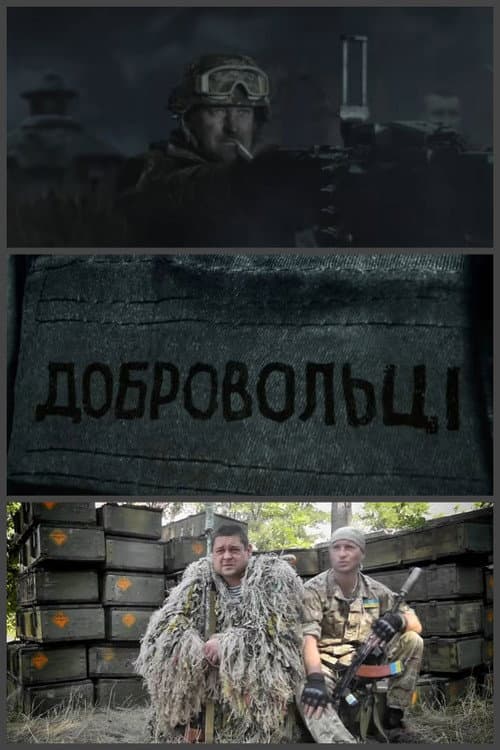 Volunteers (2015) poster