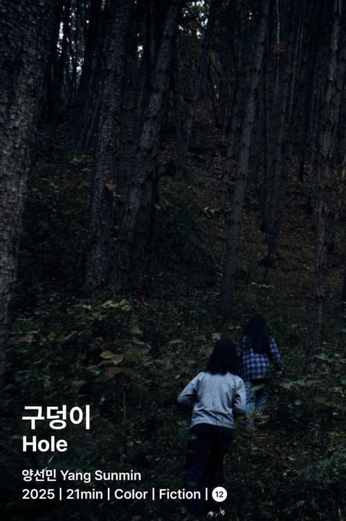 Hole (2025) poster
