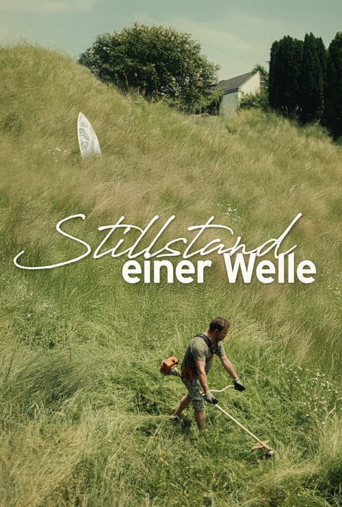 A Wave Standing Still poster