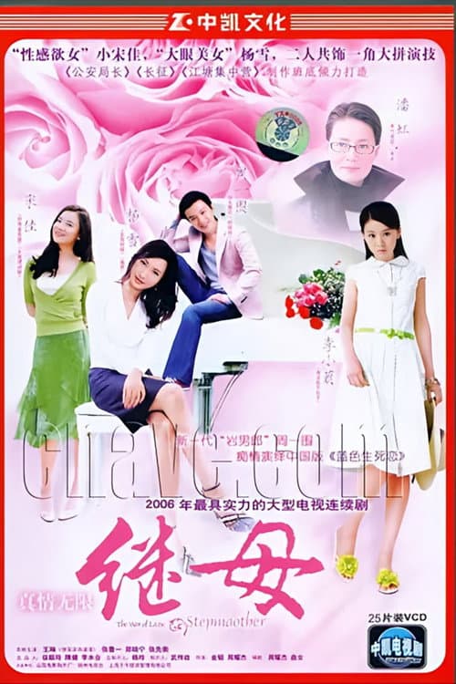 真情无限之继母 (2006) poster