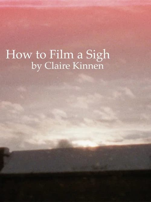 How to Film a Sigh poster