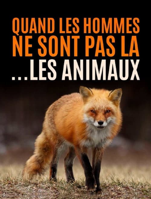 Quand l’homme n’est pas là... les animaux dansent ! (2021) poster