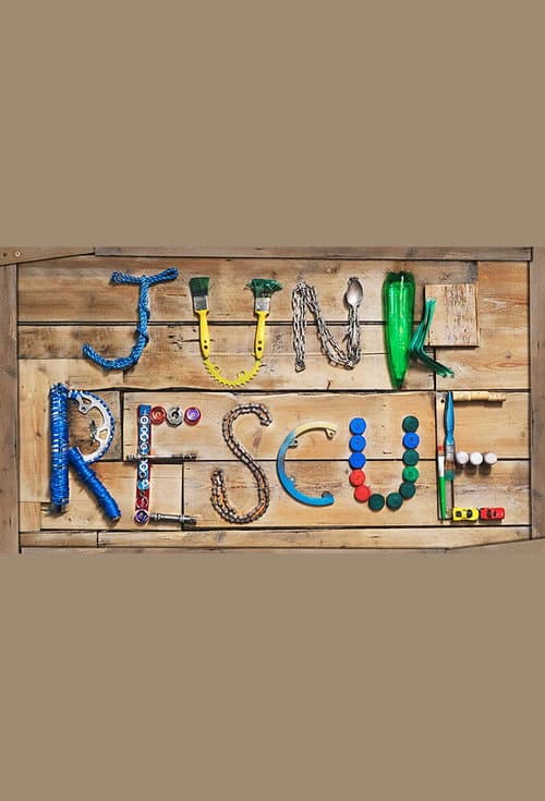 Junk Rescue (2018) poster