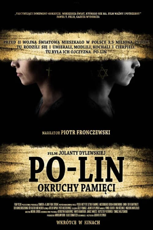 Po-lin. Shards of Memory (2008) poster