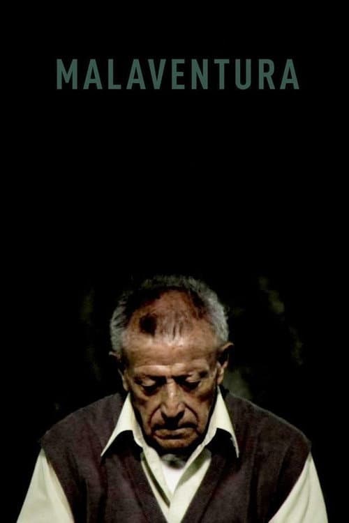 Malaventura (2011) poster