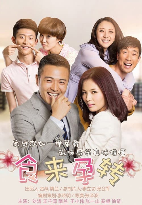 Food to Pregnancy (2014) poster