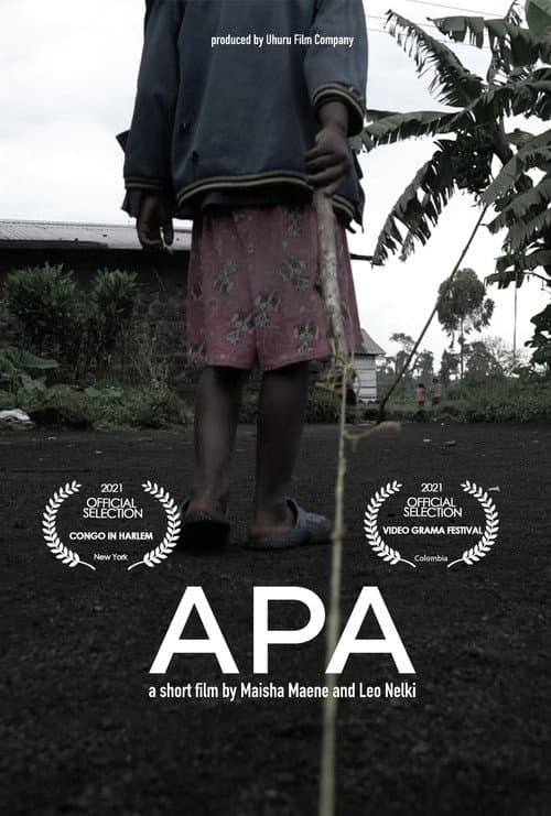 APA poster