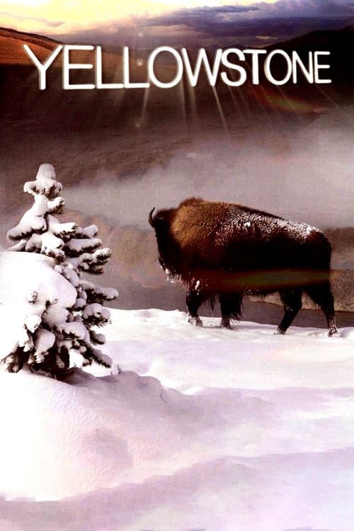 Yellowstone (2009) poster