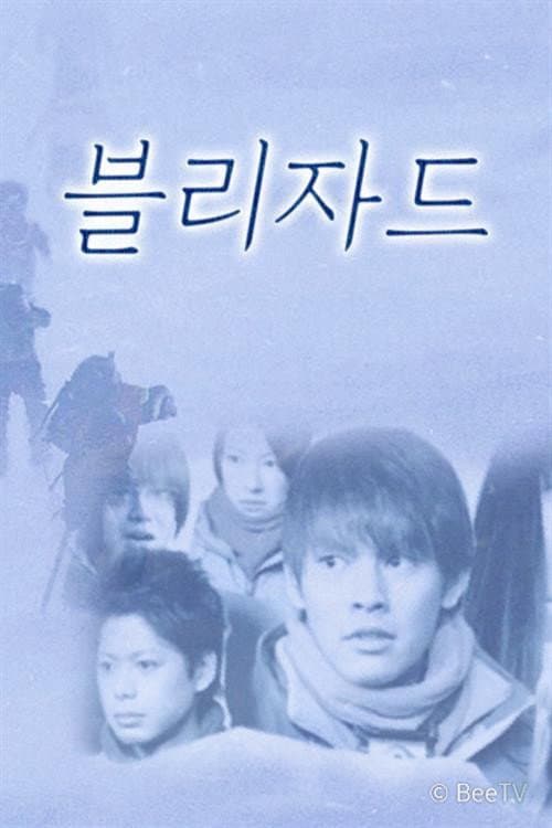 Blizzard (2011) poster