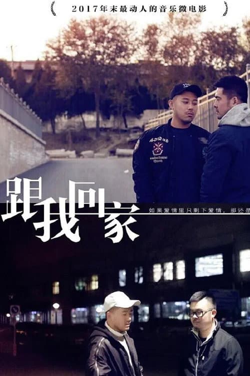 跟我回家 poster