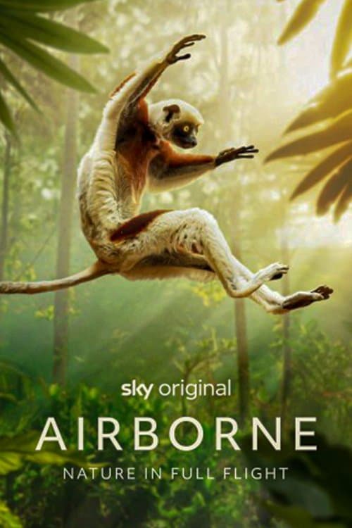 Airborne (2024) poster