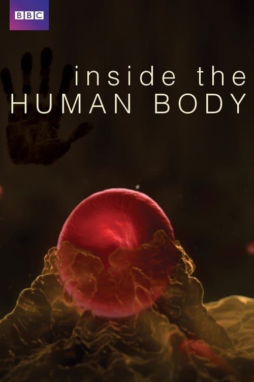 Inside the Human Body (2011) poster