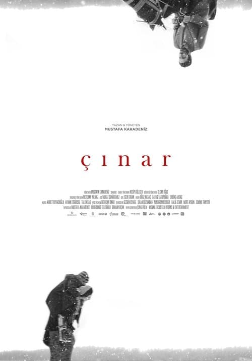 Plane Tree (2018) poster