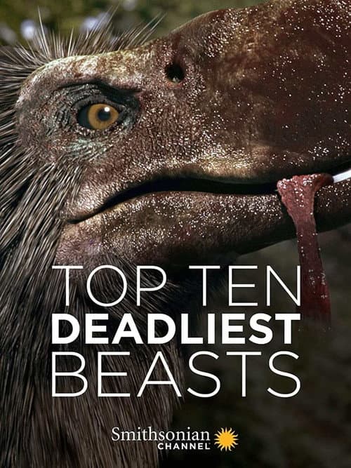 Top Ten Deadliest Beasts (2017) poster