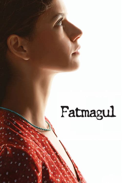 What is Fatmagul's Fault? (2010) poster