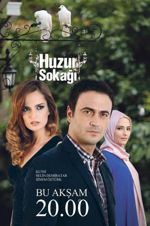 Huzur Sokağı (2012) poster
