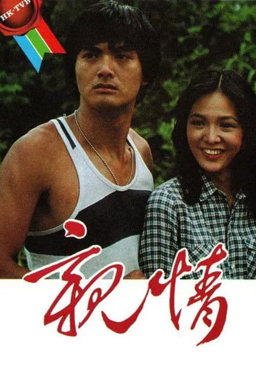 The Brothers (1980) poster