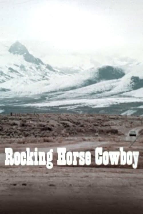 Rocking Horse Cowboy poster