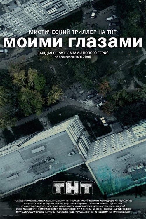 Through My Eyes (2013) poster