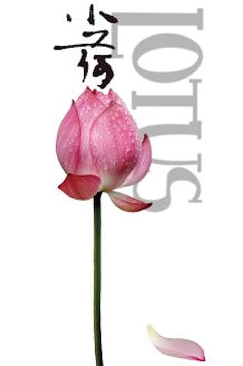 Lotus (2012) poster