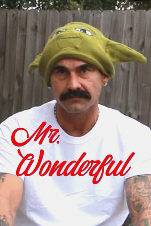 Mr. Wonderful (2022) poster