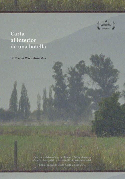 Carta al Interior de una botella poster