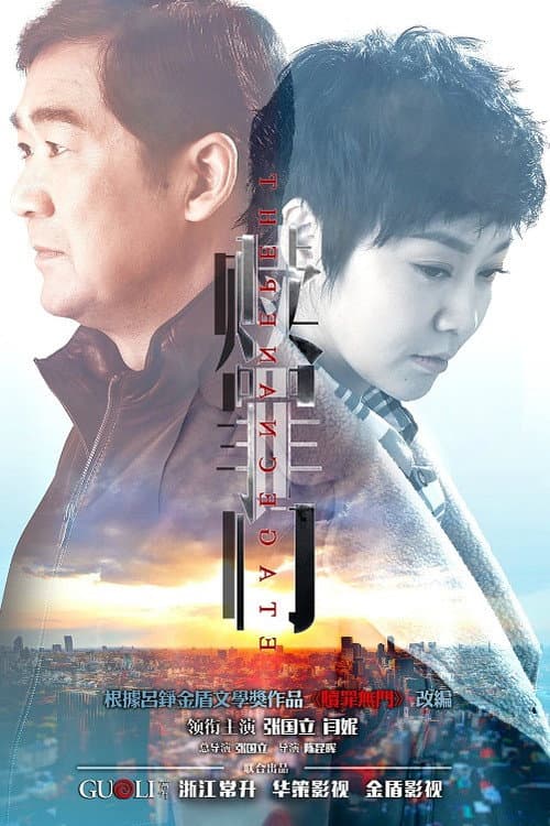 爱的追踪 (2016) poster