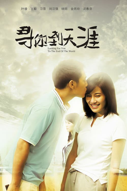 寻你到天涯 (2013) poster