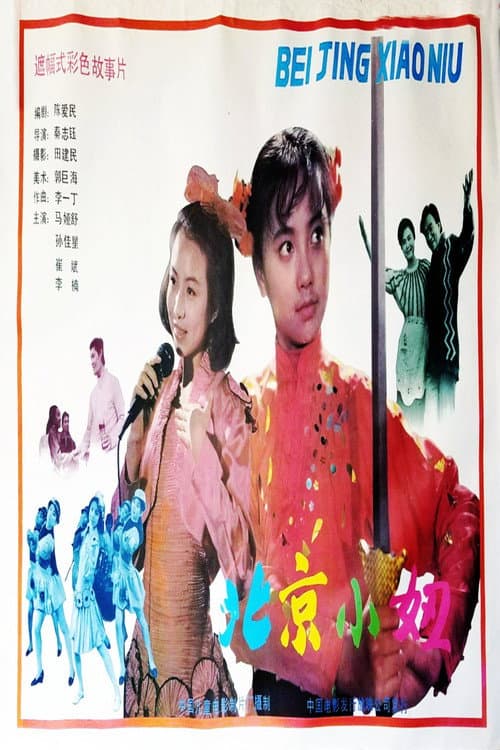 The Beijing Chick (1991) poster