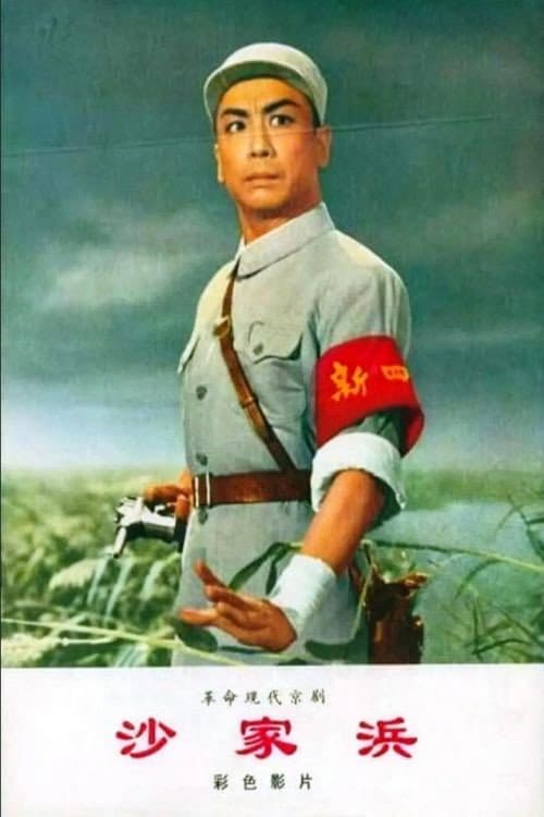 Sha jia bang (1971) poster