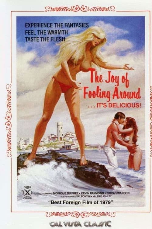 Rivals in Love (1976) poster