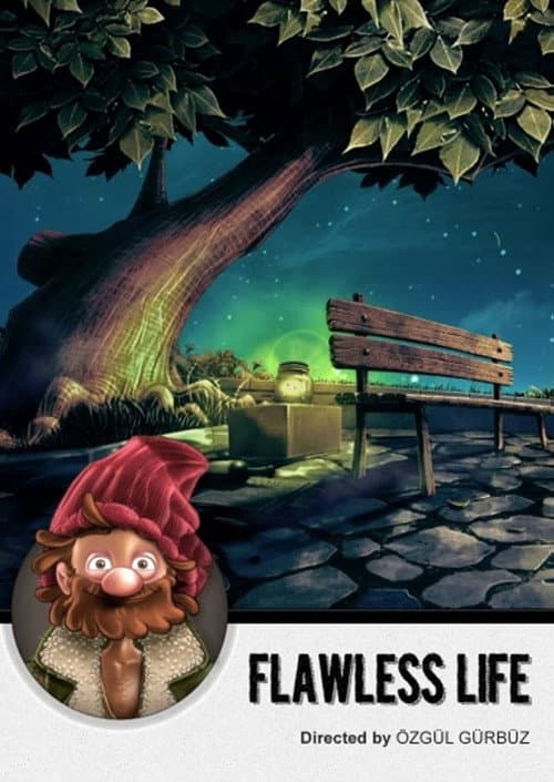 Flawless Life (2012) poster