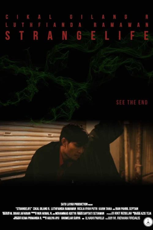 Strangelife (2015) poster
