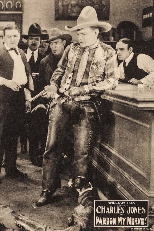 Pardon My Nerve! (1922) poster