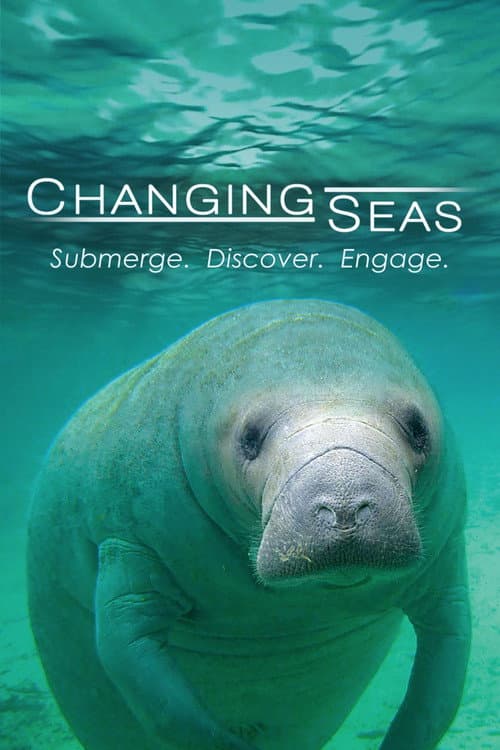 Changing Seas (2009) poster