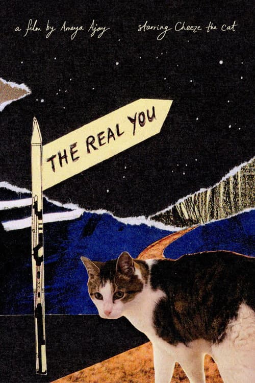The Real You (2026) poster
