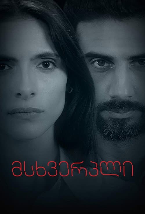 Victim (2024) poster