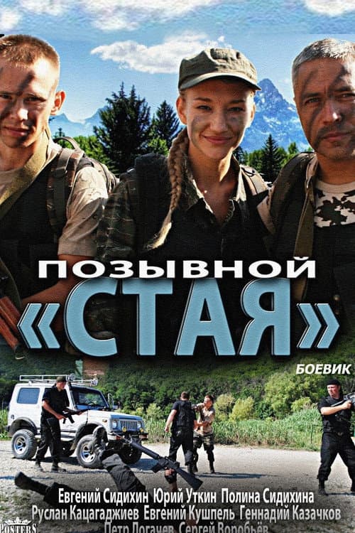 Позывной «Стая» (2013) poster