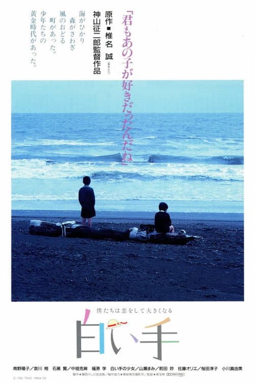 The Pale Hand (1990) poster