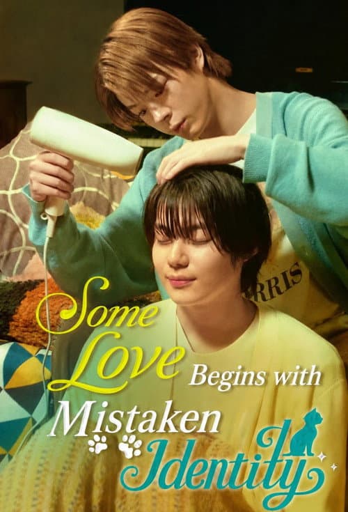 Some Love Begins with Mistaken Identity poster