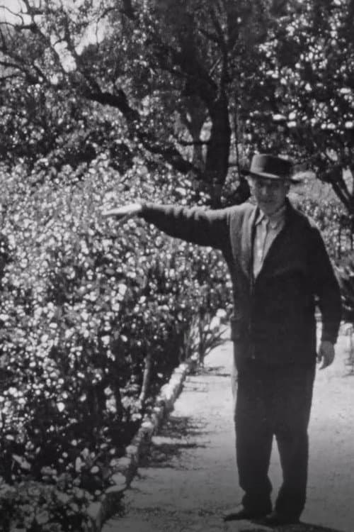 Chagall dans son jardin a Saint-Paul-de-Vence poster