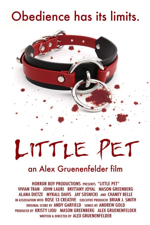 Little Pet poster
