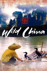 Miniseries poster