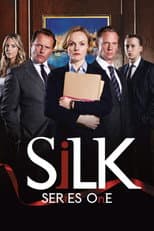 Series 1 poster