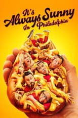 Season 17 poster