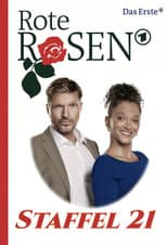 Season 21 poster